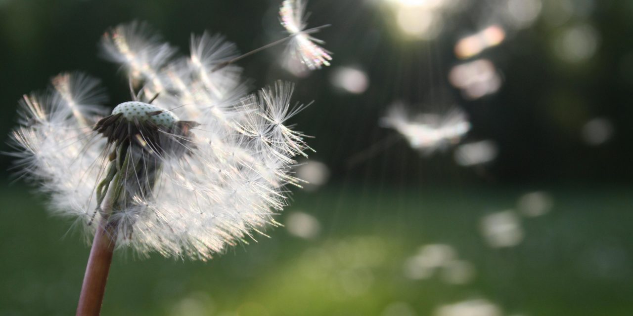 Common Household Pollutants and How to Reduce Them